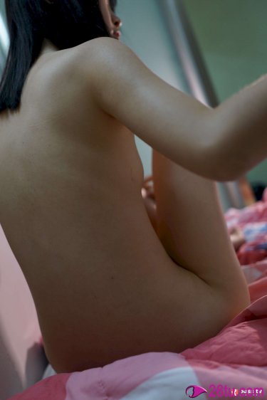 行尸走肉第六季全集